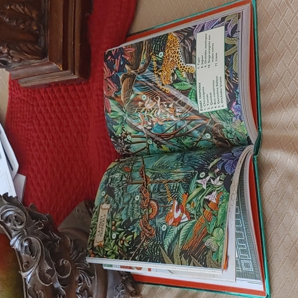 Le voyage dans le temps. Les Romains, les Mayas, le Roi-Soleil - Picture 4 of 4